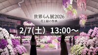 【7日間だけの祭典】2/7開催！世界らん展🌸花と緑の祭典で感動の美しさを満喫しよう✨東京ドーム