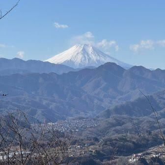 【初級者🔰＆主催オススメ✨️】東京近郊の上野原・八重山🏕️五感で感じる美しい低山に行きましょう🌳