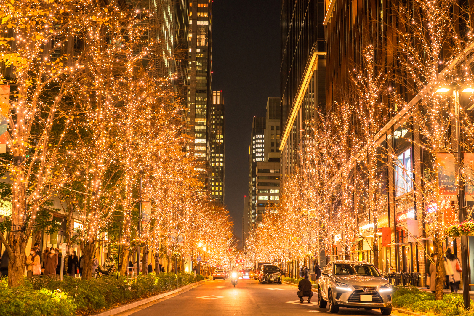【男女共催】丸の内ライトアップ✨日比谷、冬の「美しさ」に出会う街歩き🚶‍♀️【街並み解説あり】