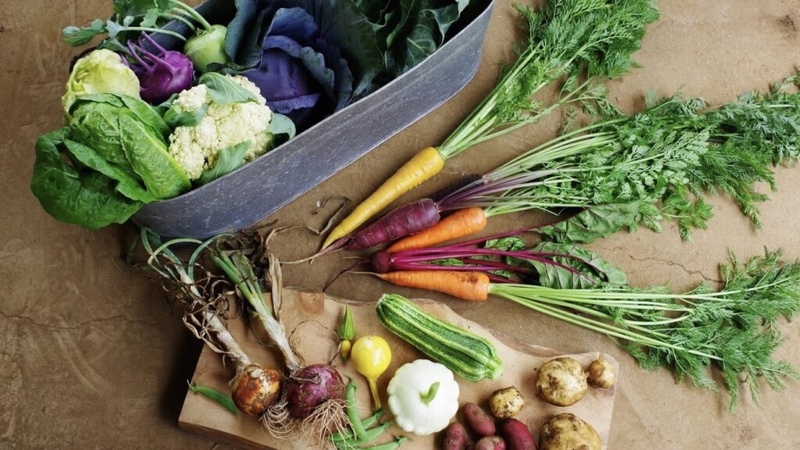 【平成生まれ×女性限定🌷】朝採れ野菜🥕を堪能☺️✨ランチビュッフェに行きませんか？@渋谷