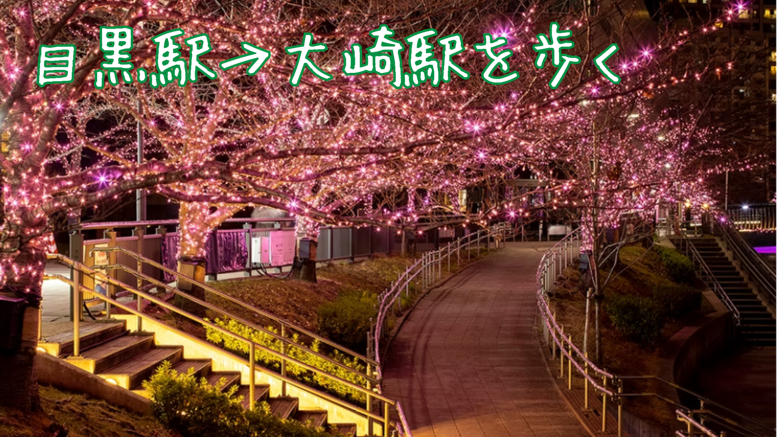 目黒駅→大崎駅を散策する～冬に桜色のイルミネーションを見に行く🌸〜