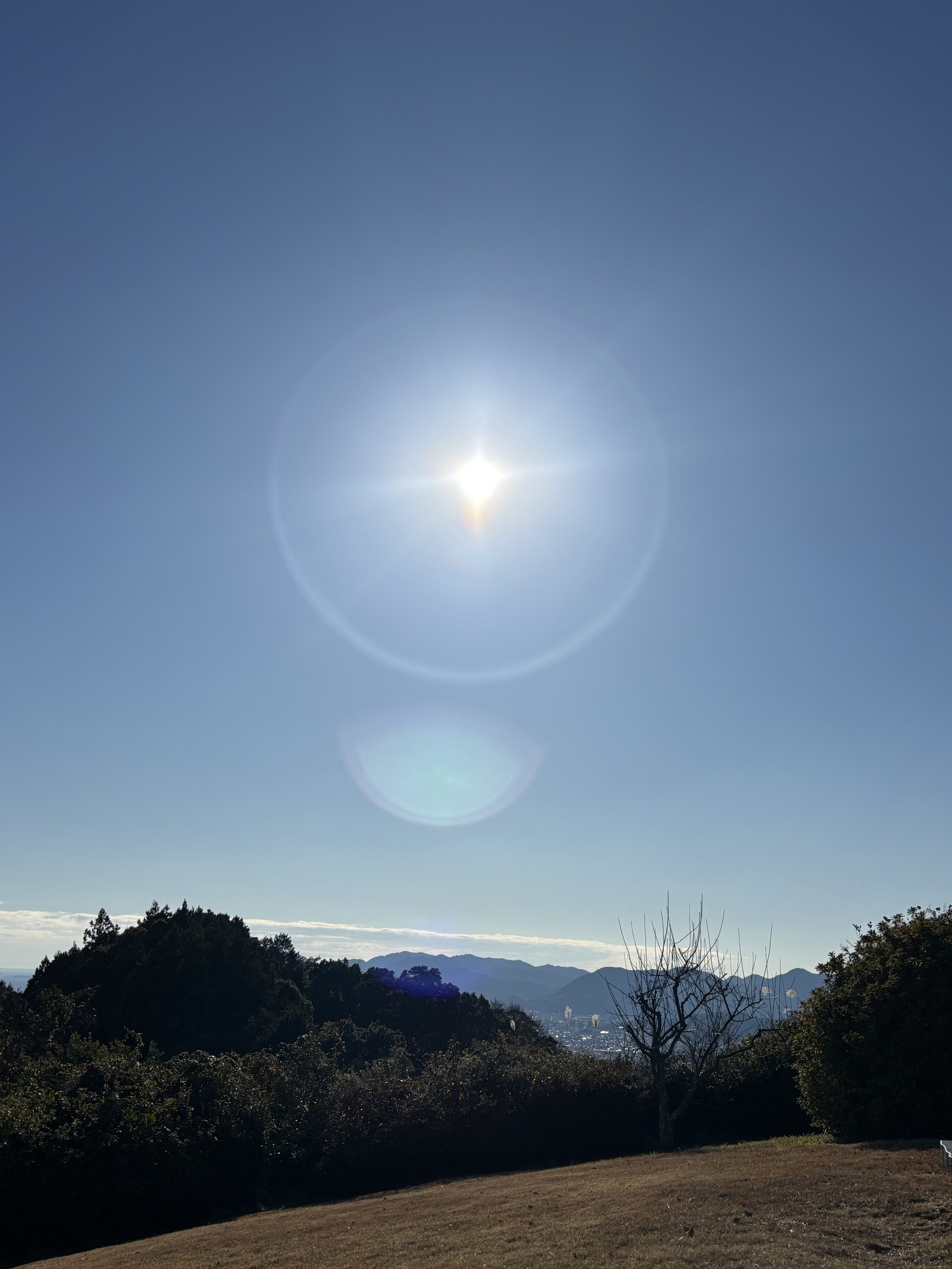 【1/27(火)芝大門カフェ☕️】ゆる数学＆統計トーク会｜統計検定2級対策も可能！初参加歓迎