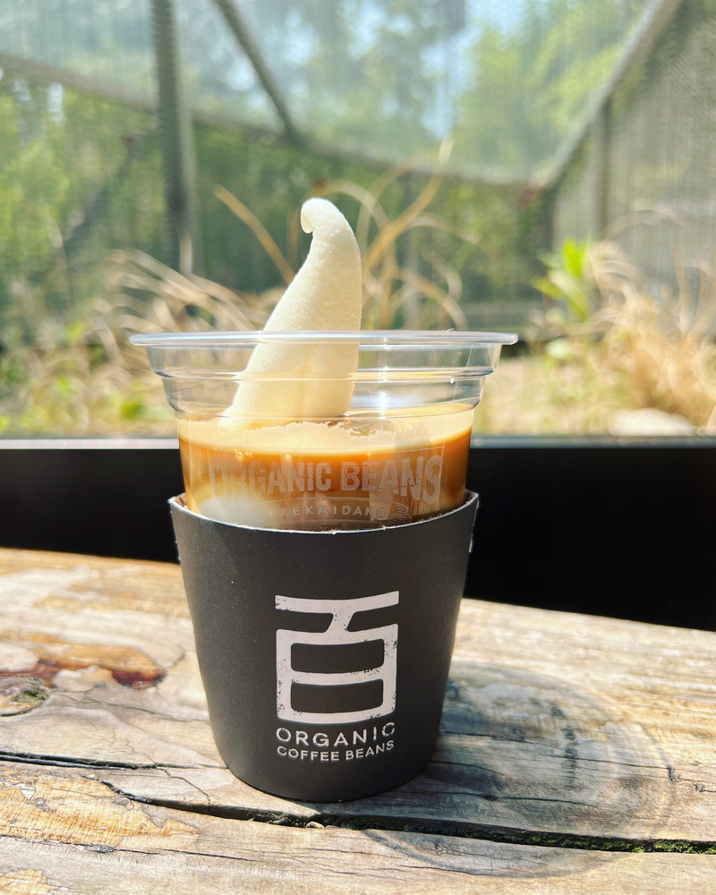 【2/11(祝水)自由が丘カフェ☕️】オシャレカフェでワクワク女子会タイムを楽しもう✨