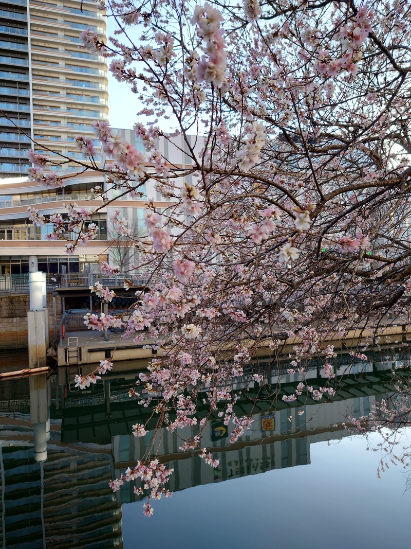 2026.2月  練習会(桑名市)