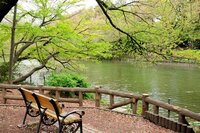 井の頭恩賜公園を缶酒片手にお散歩しよう🍺【女性限定】【犬同伴OK🐶】【ノンアルOK】