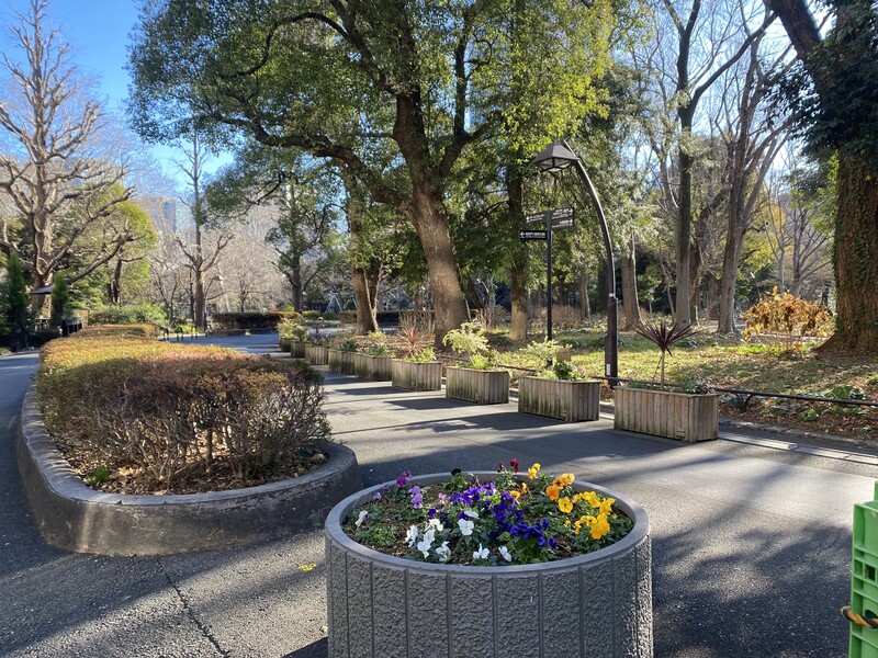 🚶🏻【日比谷公園】朝さんぽ と カフェトーク