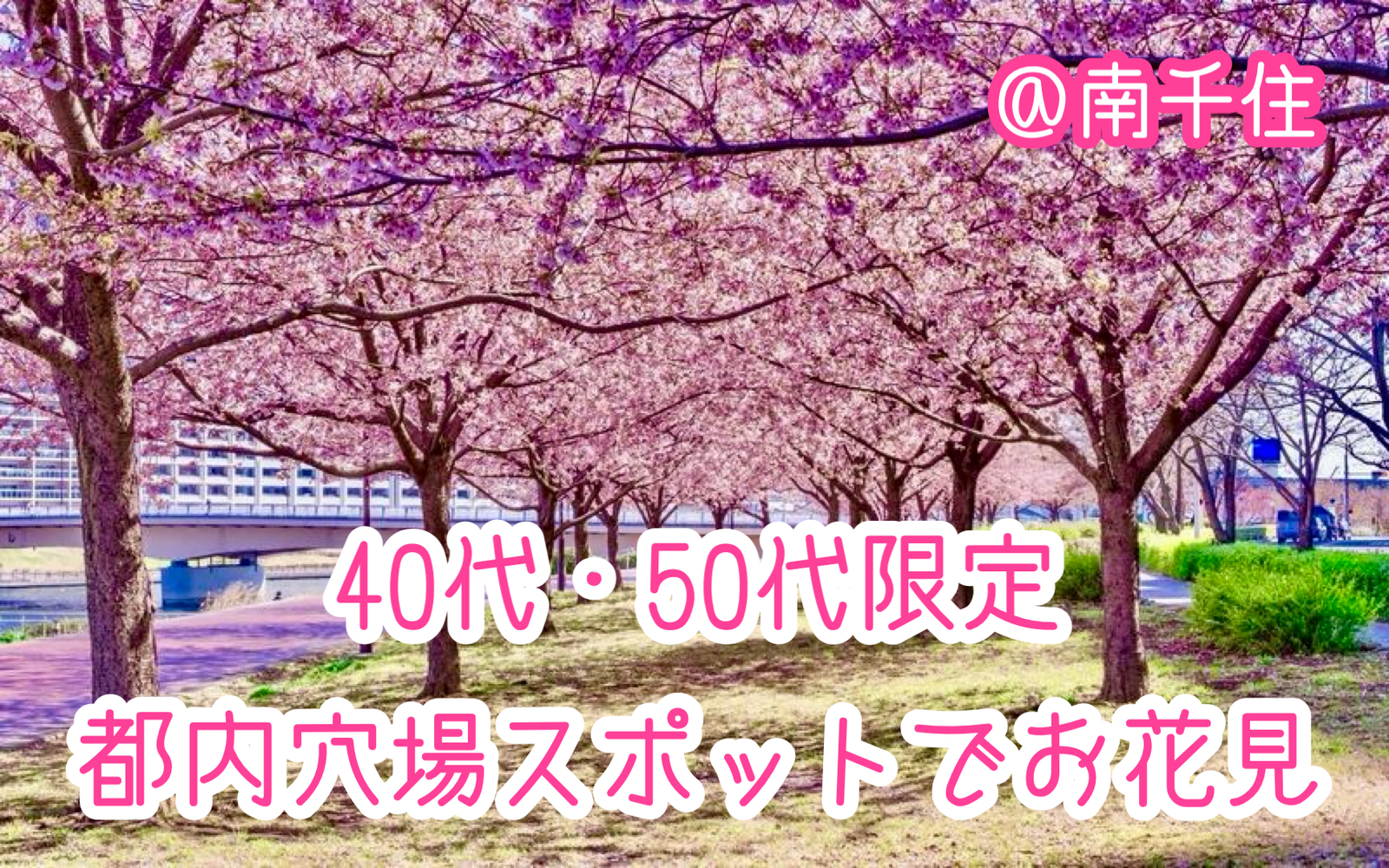 【40代50代】春です♪(*´∀`)♪🌸都内の穴場スポット「汐入公園」でゆったりお花見しましょう🙋‍♀️✨