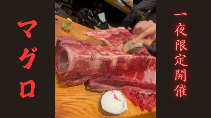 【30代〜44歳迄】早春 魚介スペシャル マグロ！ご期待ください！