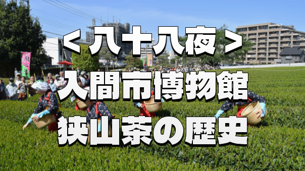 八十八夜の聖地巡礼！入間市博物館ALITで狭山茶の旬と歴史に染まる一日🍵🌿✨