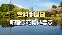 【新宿御苑が無料】都会のオアシスで優雅にピクニックを楽しもう！