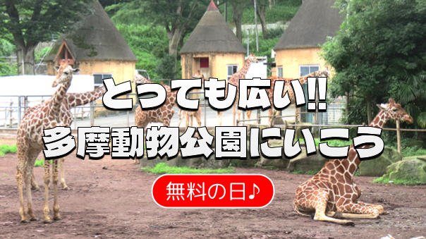 祝・無料開園日！多摩動物公園で生命の輝きに触れる初夏の冒険🦁🌳✨