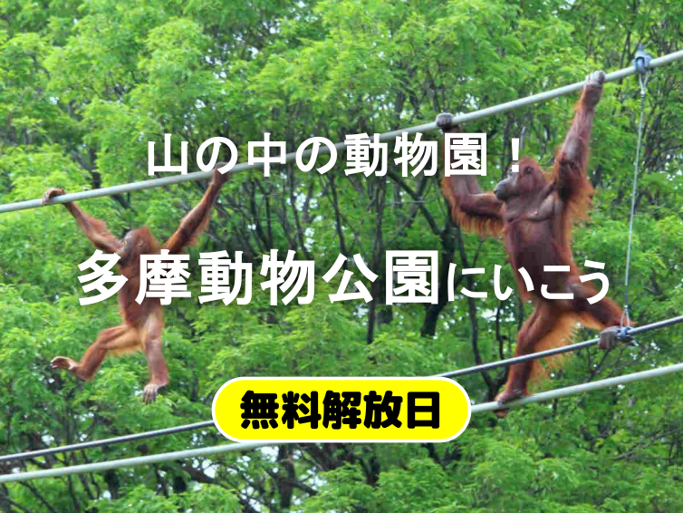 祝・無料開園日！多摩動物公園で生命の輝きに触れる初夏の冒険🦁🌳✨