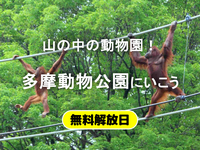 祝・無料開園日！多摩動物公園で生命の輝きに触れる初夏の冒険🦁🌳✨