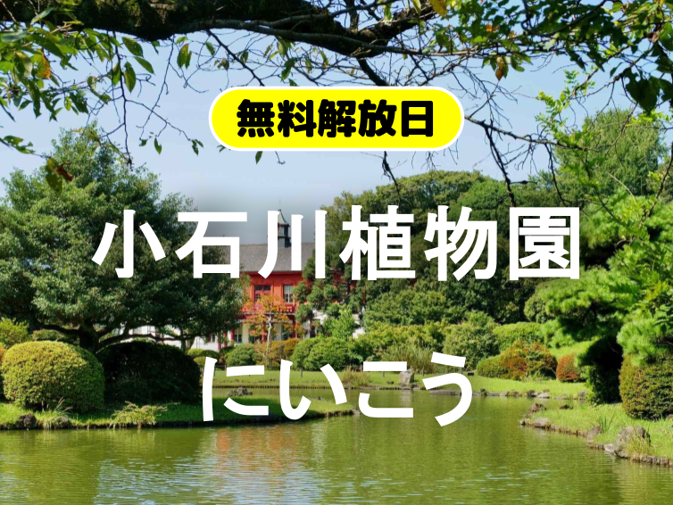 ＜無料公開日＞小石川植物園にいってみよう！新緑散歩＆たくさんの植物が楽しめます。