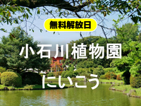 ＜無料公開日＞小石川植物園で新緑散歩＆たくさんの植物を楽しもう！