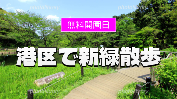 《無料の日》時を止めた森の深淵へ：自然教育園に浸る、緑と静寂の瞑想散歩
