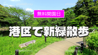 《無料の日》時を止めた森の深淵へ：自然教育園に浸る、緑と静寂の瞑想散歩