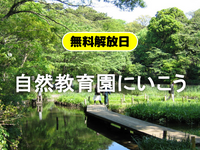 《無料の日》時を止めた森の深淵へ：自然教育園に浸る、緑と静寂の瞑想散歩