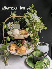 🍰 表参道でタルトと焼き菓子を楽しむ午後のカフェ時間 ☕️🌿