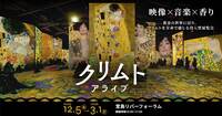 大阪美術館巡り！【クリムト・アライブ】