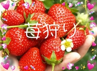 【40〜50代】🍓やっばり苺も狩っとく？😚🍓