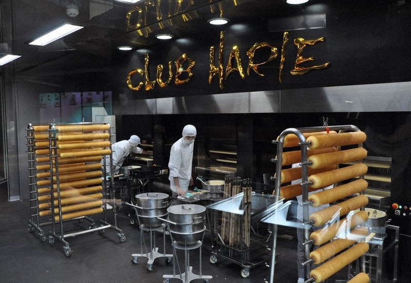 【3/28(土)】春の近江八幡さんぽ＆ラコリーナ60分ガイドツアー