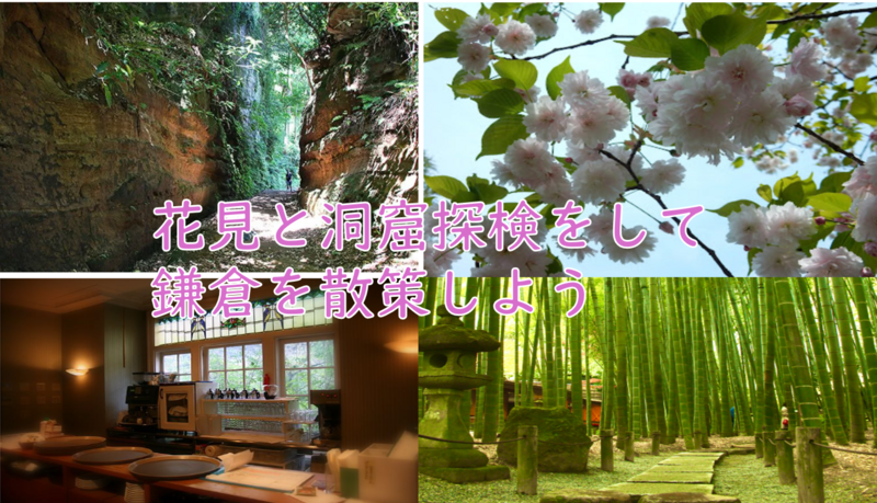 【古道と桜を楽しむ】切通と鎌倉の桜を散策して楽しもう（説明・解説付）