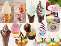 【20代30代限定】大人気のアイスクリーム万博に行こう🌹🌹