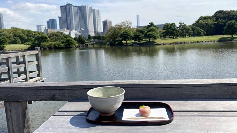 【早割中】庭園散策&カフェしよ〜🦊🦊