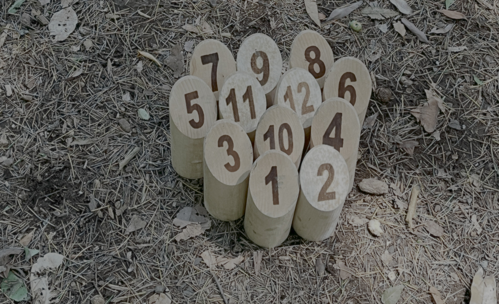 🪵【2/14(土)】ゆるっとモルック会