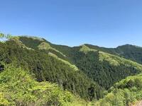 高水三山トレッキング｜奥多摩を日帰りで堪能🏕️初級者も楽しめる人気縦走登山コース✨️