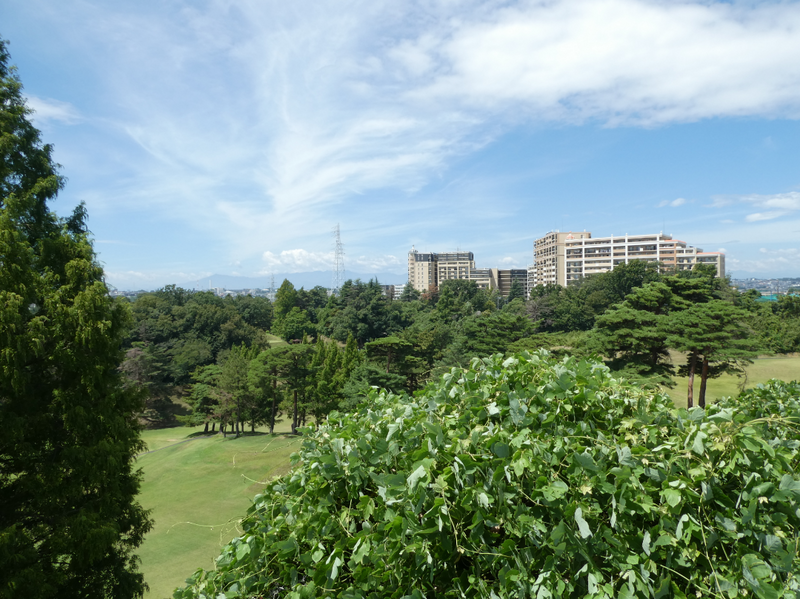 生田緑地で森林浴しよう (2026春の部②)