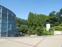 生田緑地で森林浴しよう (2026春の部③)