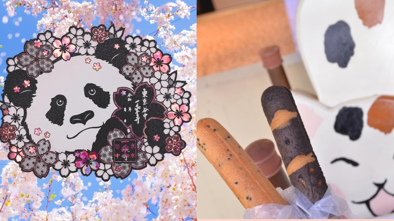 【女性主催】谷中銀座で食べ歩きと仏閣巡りで春限定の御朱印をいただきに行こう！