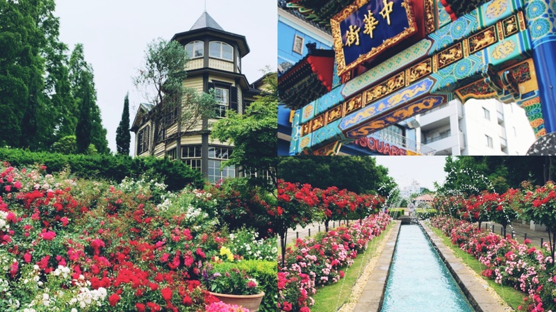 【女性主催】横浜の薔薇園巡りと中華街食べ歩きしよう！