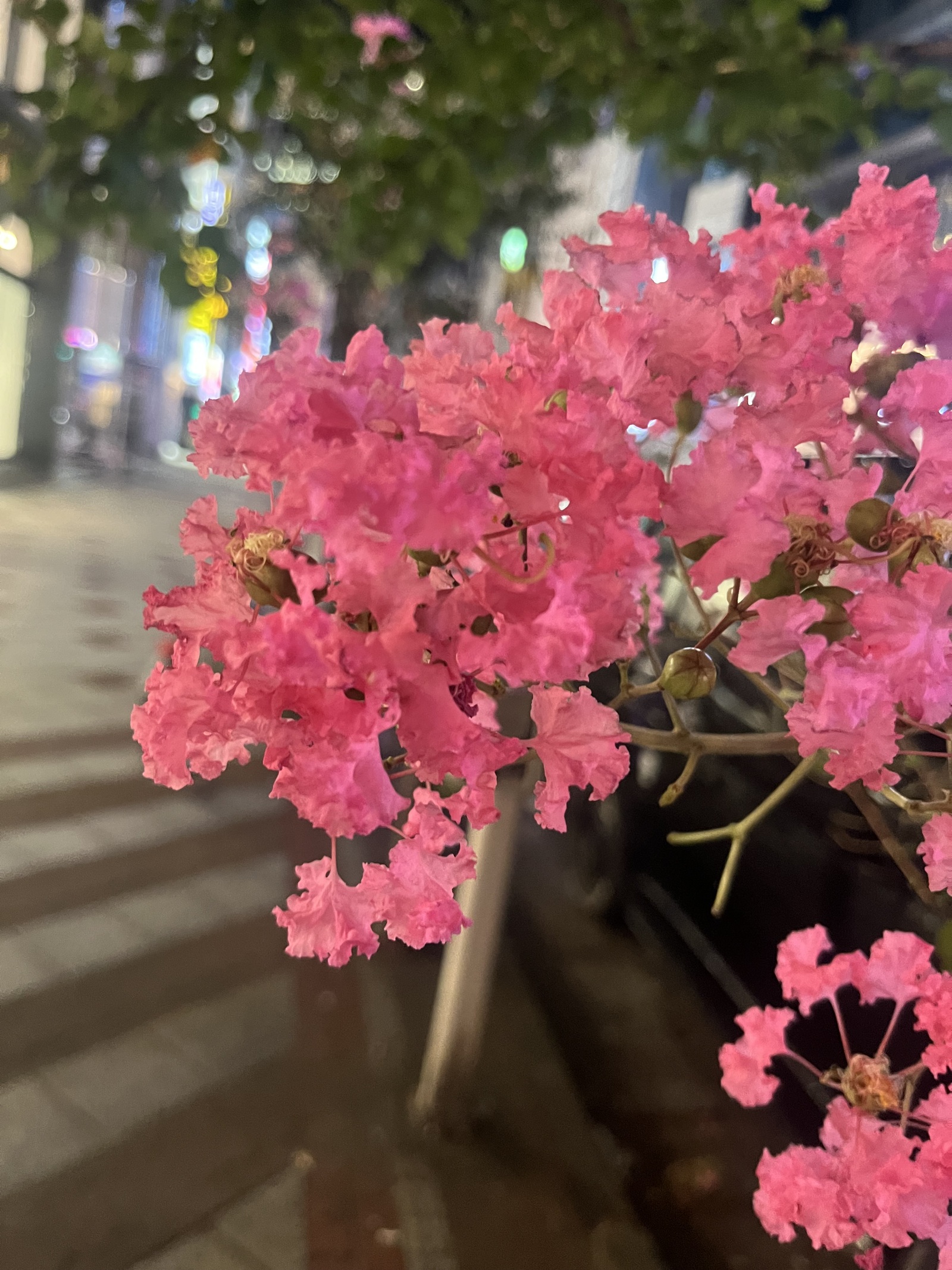 🖋️モクモクもーく会【元気に朝活☀️】