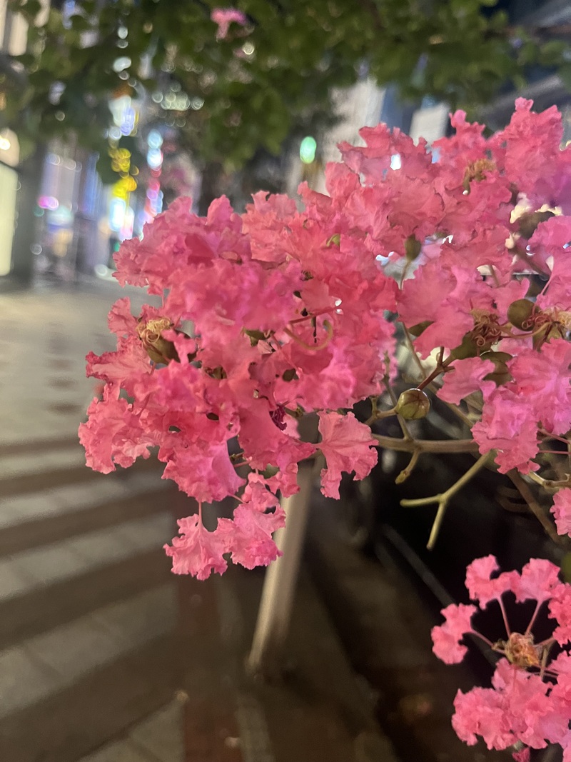 🖋️モクモクもーく会【元気に朝活☀️】