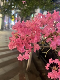 🖋️モクモクもーく会【元気に朝活☀️】