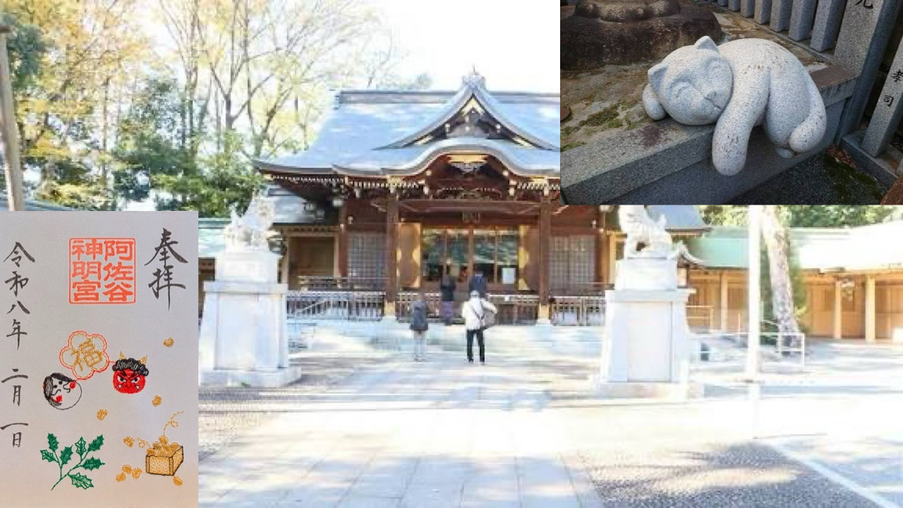 【荻窪近くの神社で猫御朱印と刺繍御朱印を頂こう！】2/14 13時　荻窪白山神社～阿佐ヶ谷神明宮！