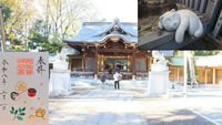 【荻窪近くの神社で猫御朱印と刺繍御朱印を頂こう！】2/14 13時　荻窪白山神社～阿佐ヶ谷神明宮！