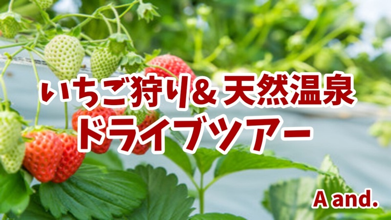 【春を告げる旬のいちご狩り&天然温泉★ドライブツアー】