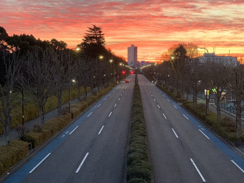 立川昭和記念公園でジョギング ※初心者です🔰