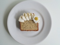 【女性2名主催/先着2名無料】ミントグリーン基調の韓国っぽカフェ🐶🐶🍰🌿に行こう✨✨20代30代限定