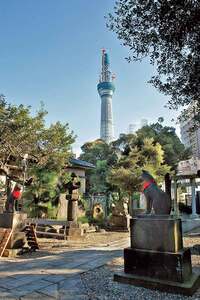 20代・30代限定【浅草】🌸3時間限定！隅田川七福神めぐり＆向島百花園お散歩ツアー✨