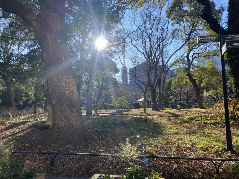 🚶🏻【日比谷公園】朝さんぽ と カフェトーク