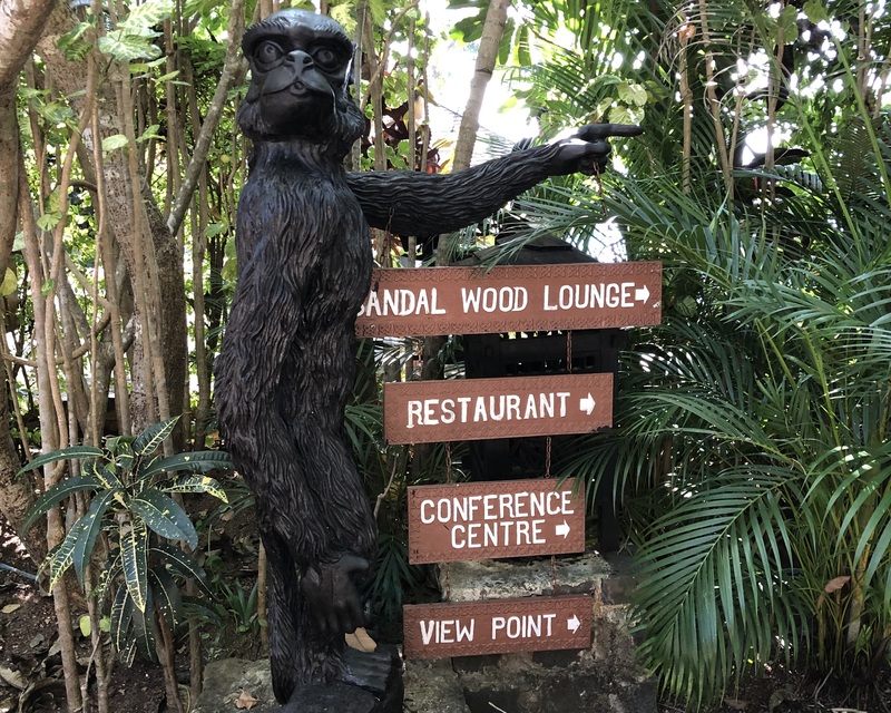 【30代〜女性のみ】野菜を食べようの会