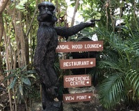 【30代〜女性のみ】野菜を食べようの会