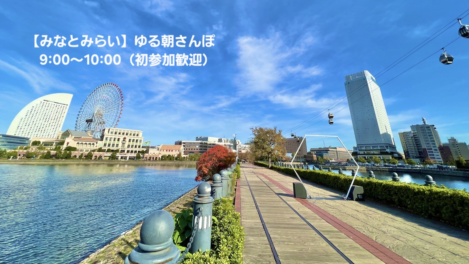 【みなとみらい】ゆる朝さんぽ｜9:00～10:00（初参加歓迎）🌿