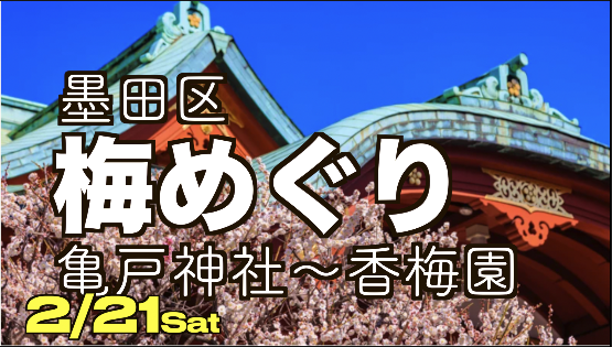 🌸【墨田区・亀戸】梅巡り街歩きツアー🌸国際交流あり🇮🇳　【英語と日本語】