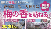 🌸【墨田区・亀戸】梅巡り街歩きツアー🌸国際交流あり🇮🇳　【英語と日本語】